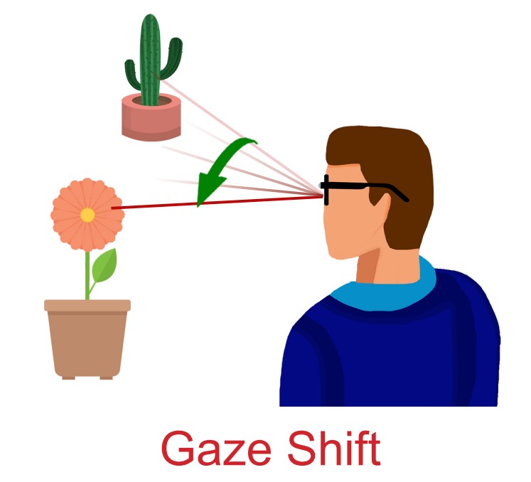 gaze shift